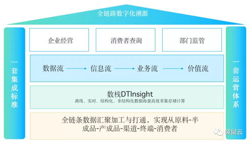 数字新基建指南 数据智能时代的供应链管理与变革